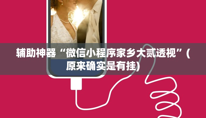 辅助神器“微信小程序家乡大贰透视”(原来确实是有挂)