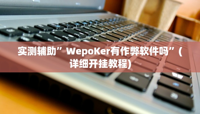 实测辅助”WepoKer有作弊软件吗”(详细开挂教程)