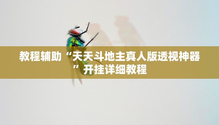 实测辅助”大唐棋牌可以开挂吗”(详细开挂教程)