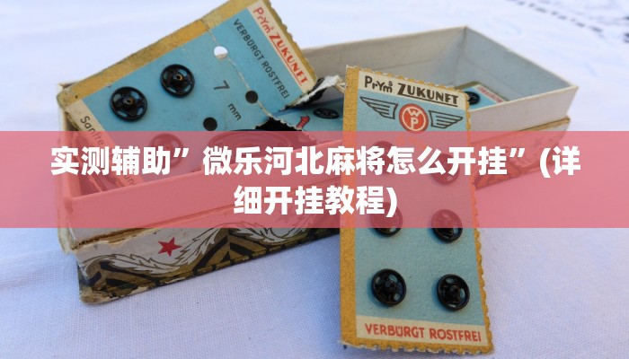 实测辅助”微乐自建房开挂”(详细开挂教程)