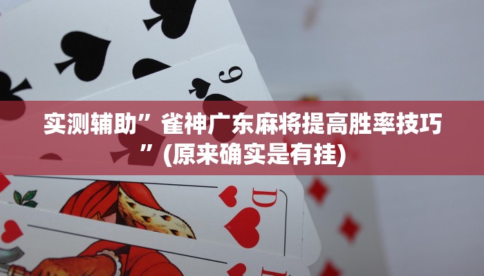 实测辅助”微乐四川麻将外卦神器下载”(详细开挂教程)