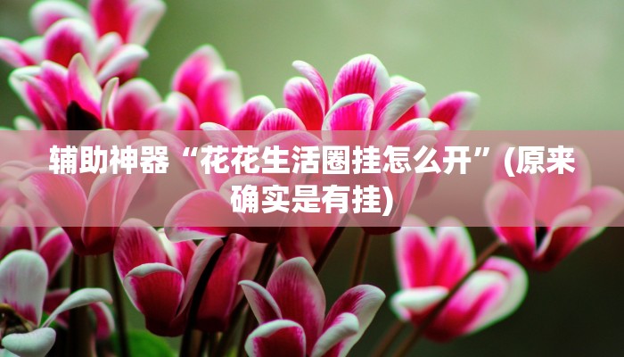 实测辅助”新荣耀棋牌辅助怎么开挂”(详细开挂教程)