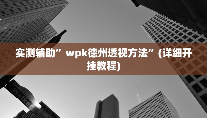 实测辅助”罗松十三水透视挂软件”(详细开挂教程)