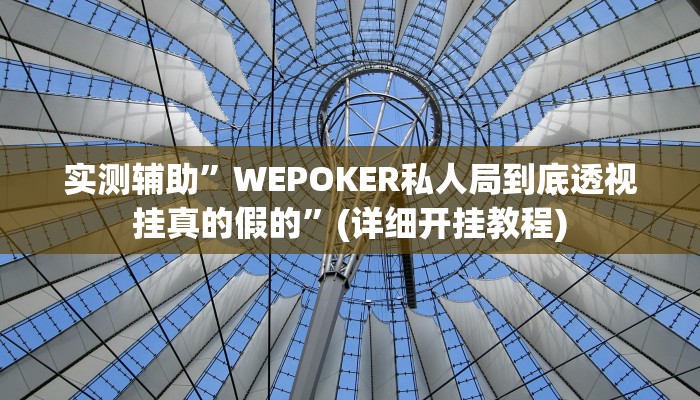 实测辅助”WEPOKER私人局到底透视挂真的假的”(详细开挂教程)