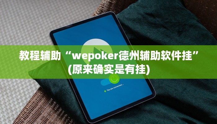 教程辅助“wepoker德州辅助软件挂”(原来确实是有挂)