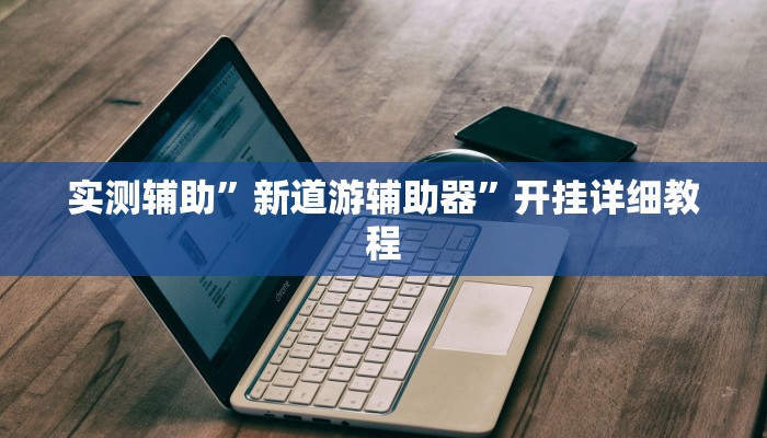 推荐一款“花城牌舍辅助器软件”原来真可以开挂