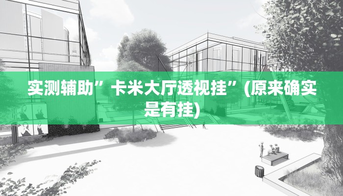 教程辅助!“aapoker可以作弊码”原来真可以开挂