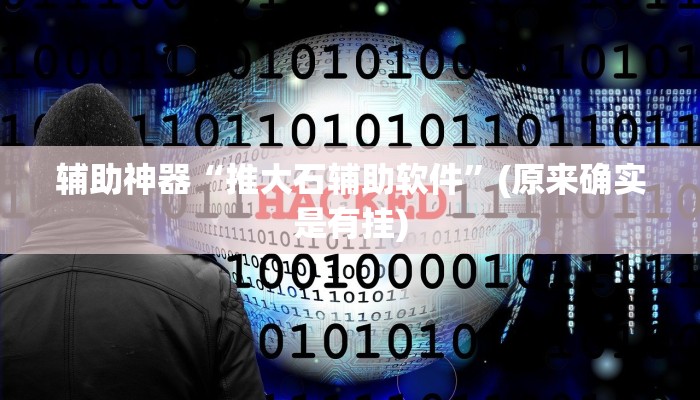辅助神器“推大石辅助软件”(原来确实是有挂)