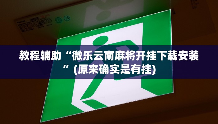 实测教程”旺福建麻将万能开挂神器”(详细开挂教程)