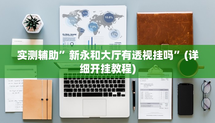 实测辅助”werplan德州挂”(详细开挂教程)