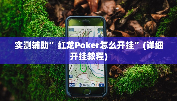 实测辅助”德扑之星确实有辅助软件”(详细开挂教程)