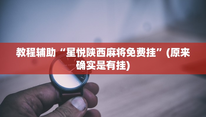 推荐一款“皮皮跑胡子究竟有没有挂”原来真可以开挂