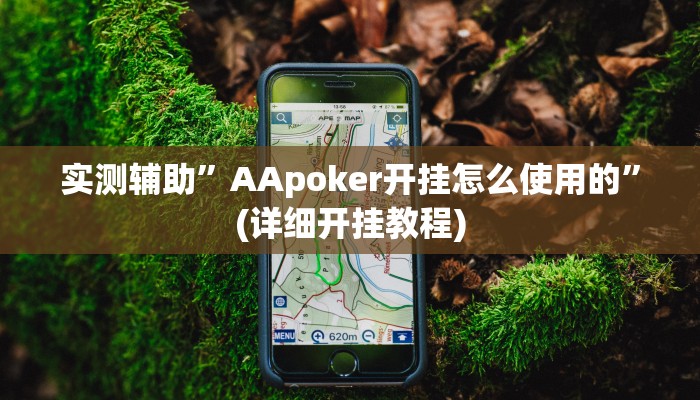 实测辅助”poker开挂怎么使用的”(详细开挂教程)