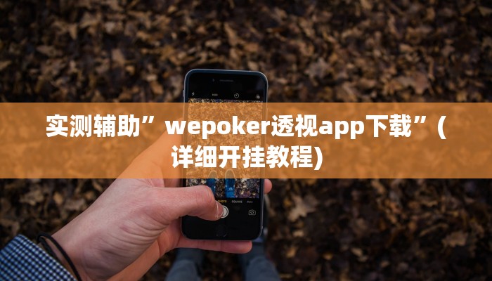 实测辅助”智星德州菠萝通用挂”(详细开挂教程)