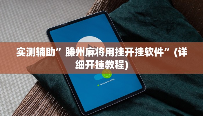 实测辅助”wepoker德州局透视软件”(详细开挂教程)