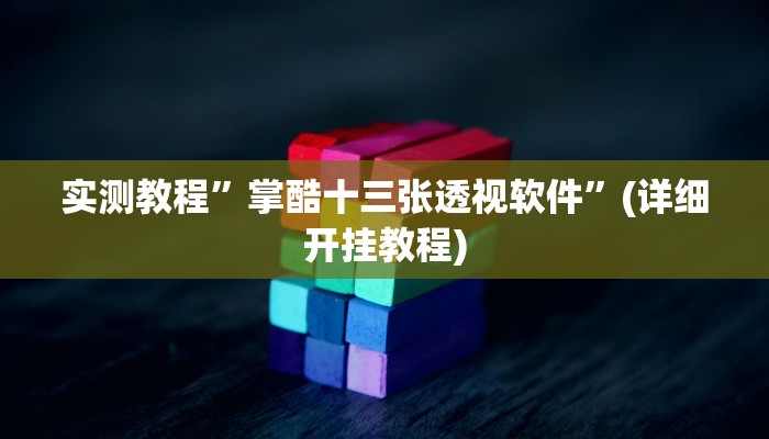 实测教程”掌酷十三张透视软件”(详细开挂教程)