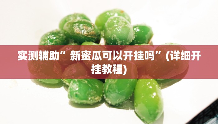 实测辅助”新蜜瓜可以开挂吗”(详细开挂教程)