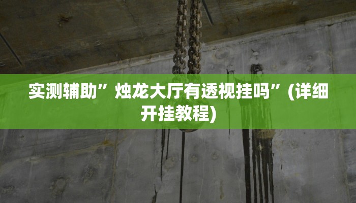 实测辅助”烛龙大厅有透视挂吗”(详细开挂教程)