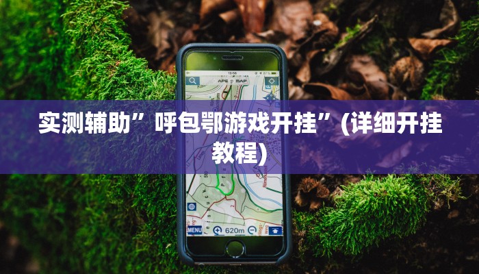 实测辅助”呼包鄂游戏开挂”(详细开挂教程)