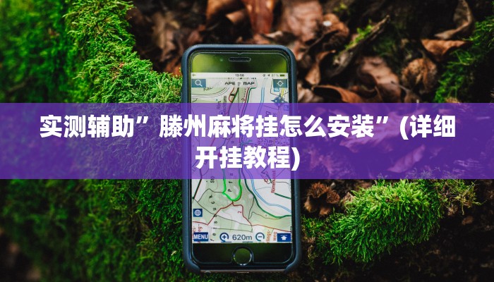 实测辅助”滕州麻将挂怎么安装”(详细开挂教程)