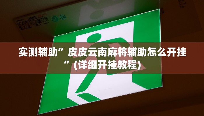 实测辅助”皮皮云南麻将辅助怎么开挂”(详细开挂教程)