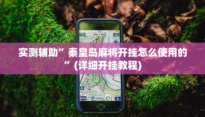 实测辅助”秦皇岛麻将开挂怎么使用的”(详细开挂教程)