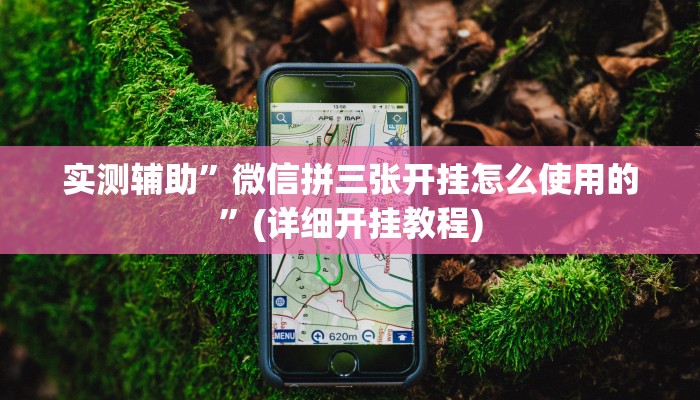 实测辅助”微信拼三张开挂怎么使用的”(详细开挂教程)