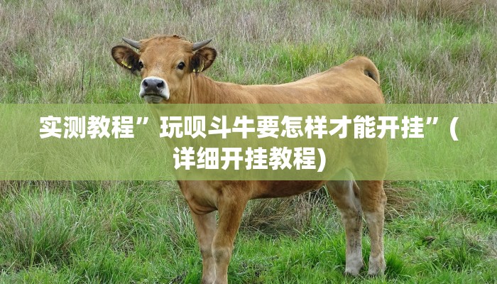 实测辅助”德州扑克开挂开挂教程”(详细开挂教程)