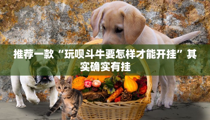 教程辅助!“牵 手跑得快开挂神器”其实确实有挂