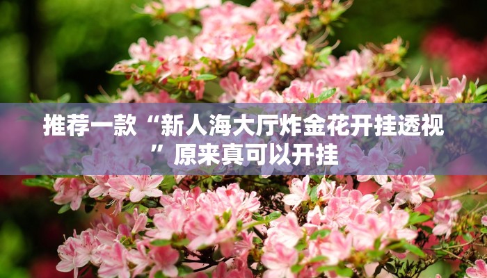 实测辅助”哥哥杭州麻将助赢神器”(详细开挂教程)