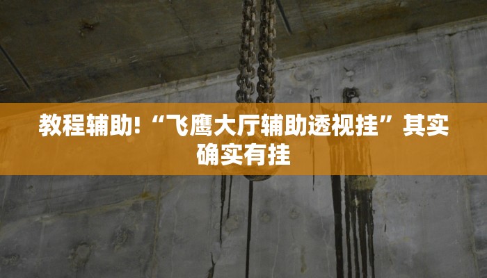 教程辅助!“飞鹰大厅辅助透视挂”其实确实有挂