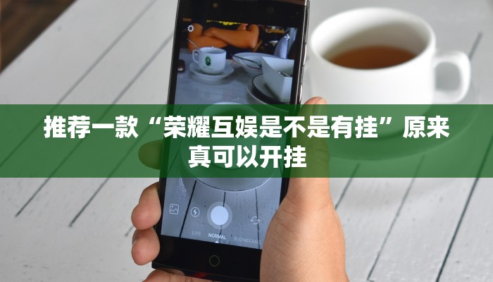 推荐一款“荣耀互娱是不是有挂”原来真可以开挂
