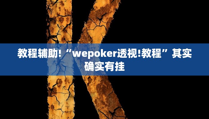 教程辅助!“wepoker透视!教程”其实确实有挂