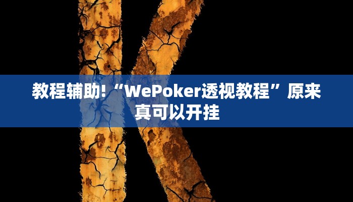 教程辅助!“WePoker透视教程”原来真可以开挂