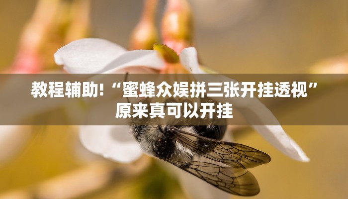 实测辅助”WePoker辅助透视软件挂”(详细开挂教程)