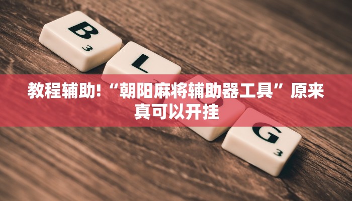 教程辅助!“朝阳麻将辅助器工具”原来真可以开挂