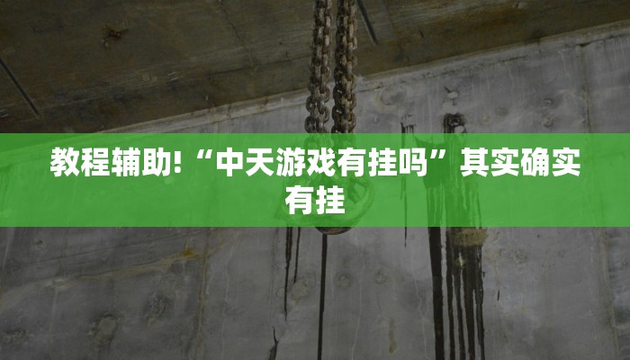实测辅助”大唐棋牌是不是真的透视挂吗”(详细开挂教程)