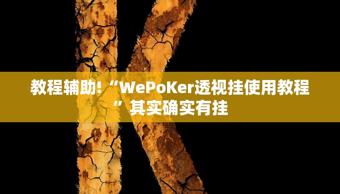教程辅助!“WePoKer透视挂使用教程”其实确实有挂