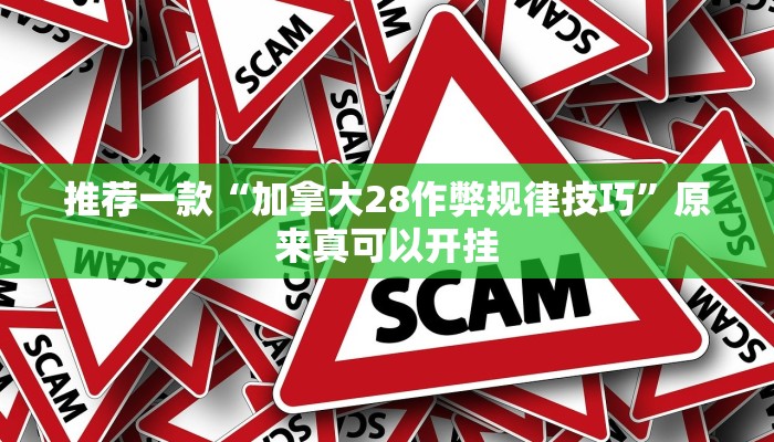 推荐一款“加拿大28作弊规律技巧”原来真可以开挂