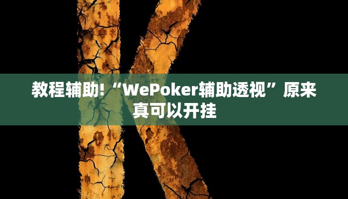 教程辅助!“WePoker辅助透视”原来真可以开挂