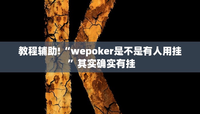 教程辅助!“wepoker是不是有人用挂 ”其实确实有挂