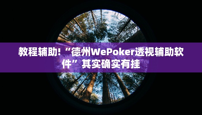 教程辅助!“德州WePoker透视辅助软件”其实确实有挂