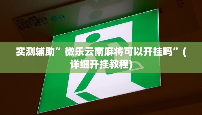 教程辅助!“德扑之星开挂是真的吗”原来真可以开挂