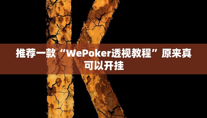 推荐一款“WePoker透视教程”原来真可以开挂
