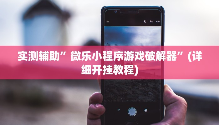 实测辅助”微乐小程序游戏破解器”(详细开挂教程)