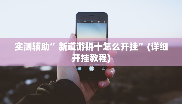 实测辅助”新道游拼十怎么开挂”(详细开挂教程)