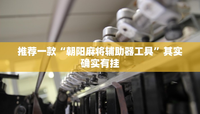 推荐一款“朝阳麻将辅助器工具”其实确实有挂