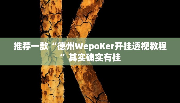 推荐一款“德州WepoKer开挂透视教程”其实确实有挂