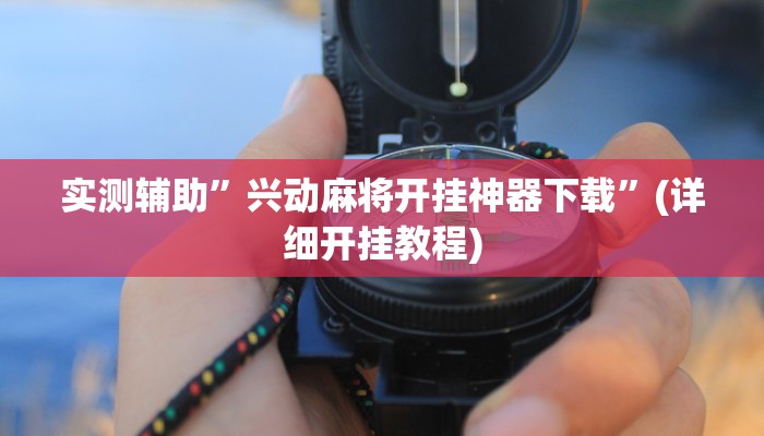 实测辅助”兴动麻将开挂神器下载”(详细开挂教程)