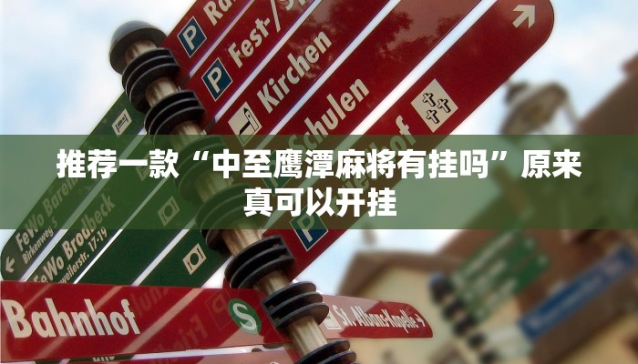 推荐一款“中至鹰潭麻将有挂吗”原来真可以开挂